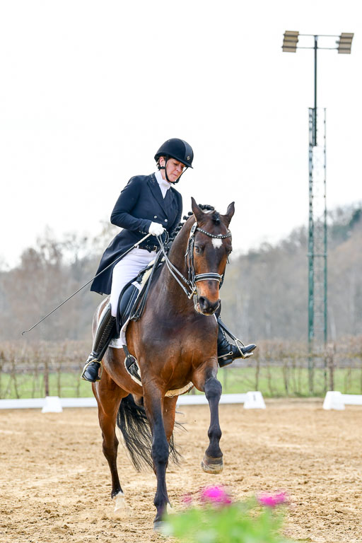 Reitsportzentrum Bremervörde | 10421 Prix St Georges_072 