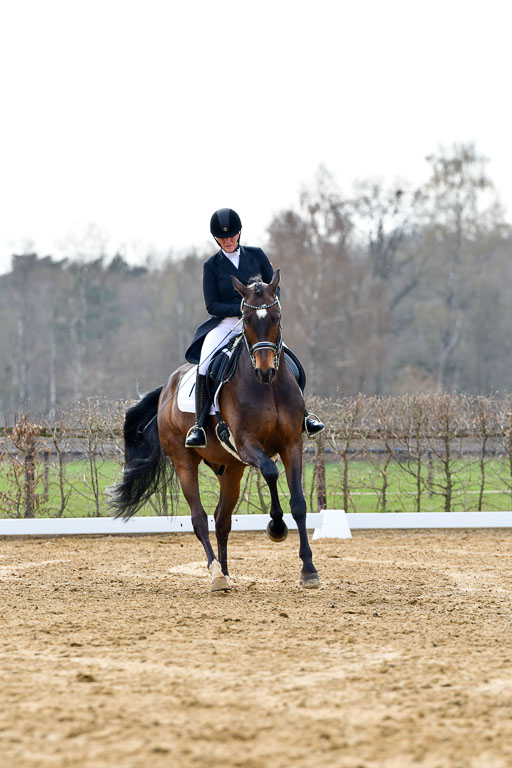 Reitsportzentrum Bremervörde | 10421 Prix St Georges_073 