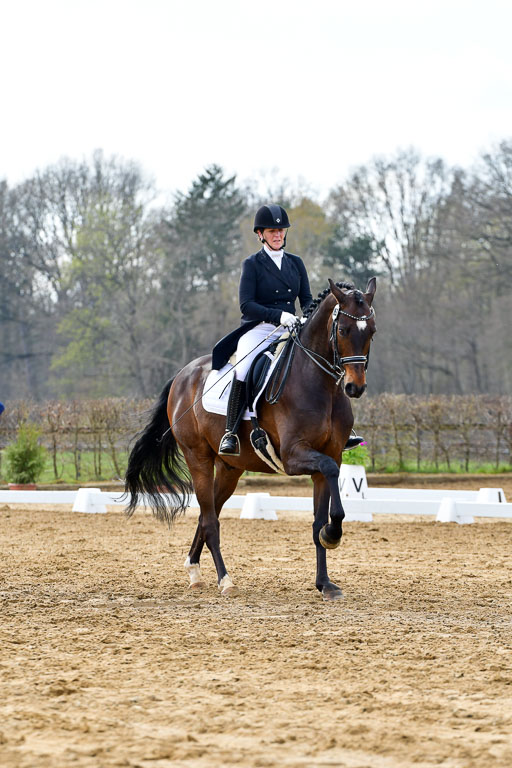 Reitsportzentrum Bremervörde | 10421 Prix St Georges_076 