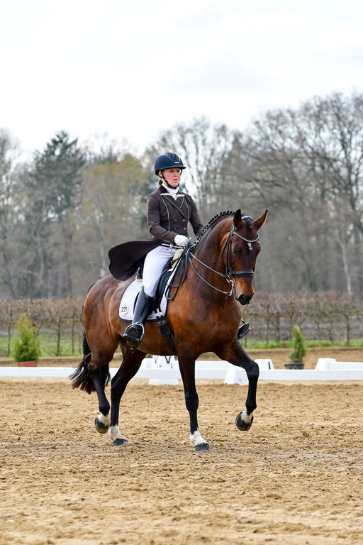 Reitsportzentrum Bremervörde | 10421 Prix St Georges_080 