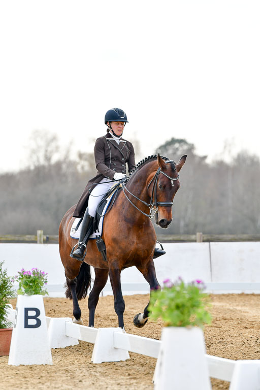 Reitsportzentrum Bremervörde | 10421 Prix St Georges_082 