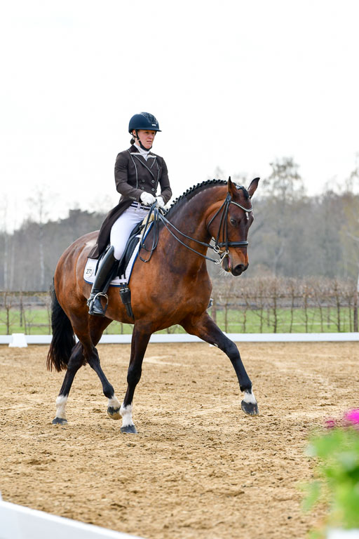 Reitsportzentrum Bremervörde | 10421 Prix St Georges_083 