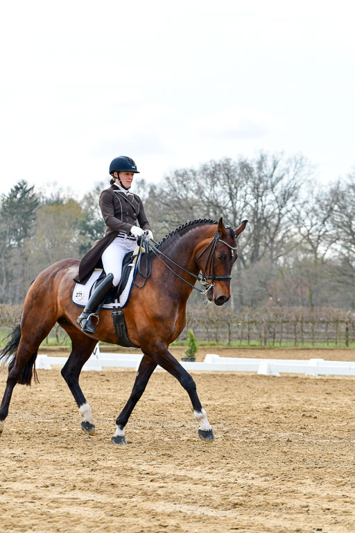 Reitsportzentrum Bremervörde | 10421 Prix St Georges_085 