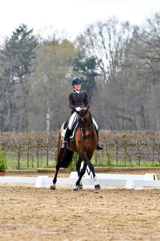 Reitsportzentrum Bremervörde | 10421 Prix St Georges_086 