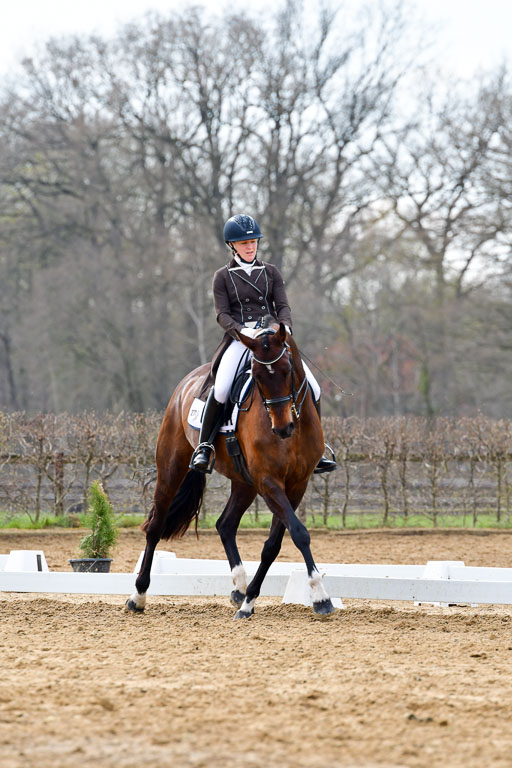 Reitsportzentrum Bremervörde | 10421 Prix St Georges_088 