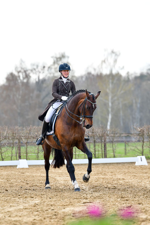 Reitsportzentrum Bremervörde | 10421 Prix St Georges_092 