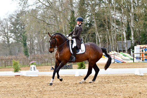 Reitsportzentrum Bremervörde | 10421 Prix St Georges_094 