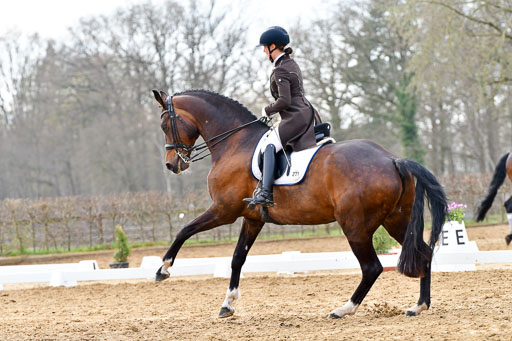 Reitsportzentrum Bremervörde | 10421 Prix St Georges_096 