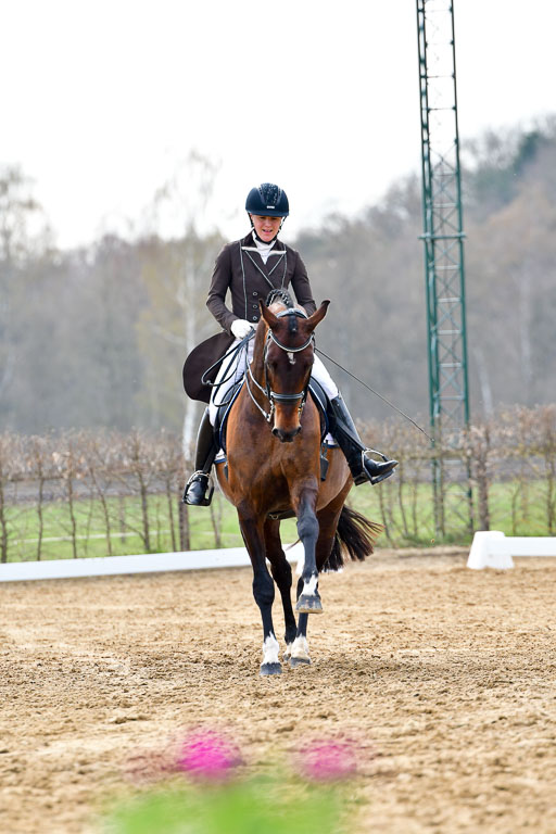 Reitsportzentrum Bremervörde | 10421 Prix St Georges_097 