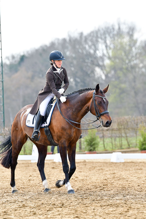 Reitsportzentrum Bremervörde | 10421 Prix St Georges_098 