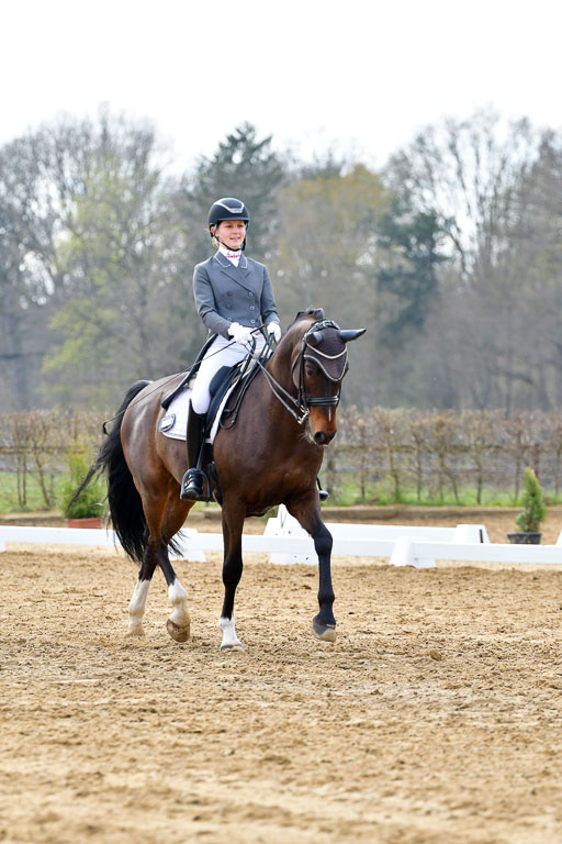 Reitsportzentrum Bremervörde | 10421 Prix St Georges_099 