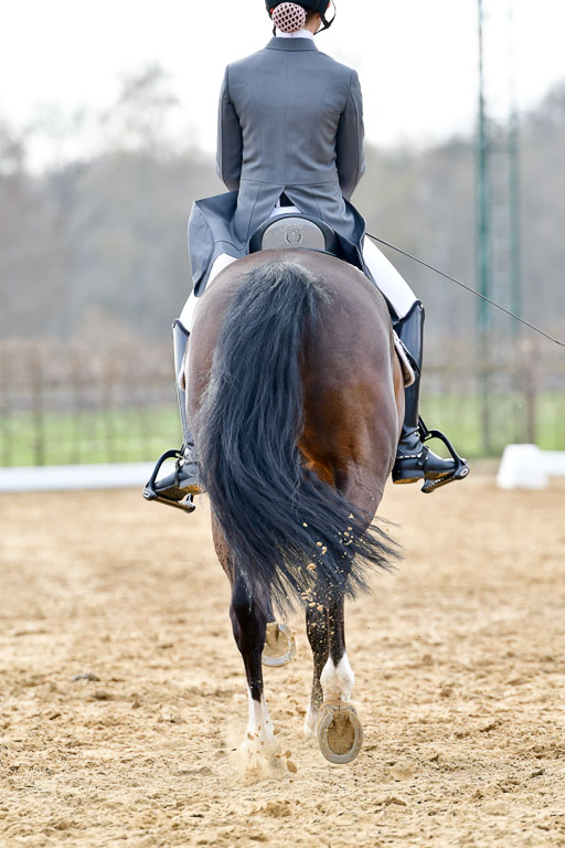 Reitsportzentrum Bremervörde | 10421 Prix St Georges_101 