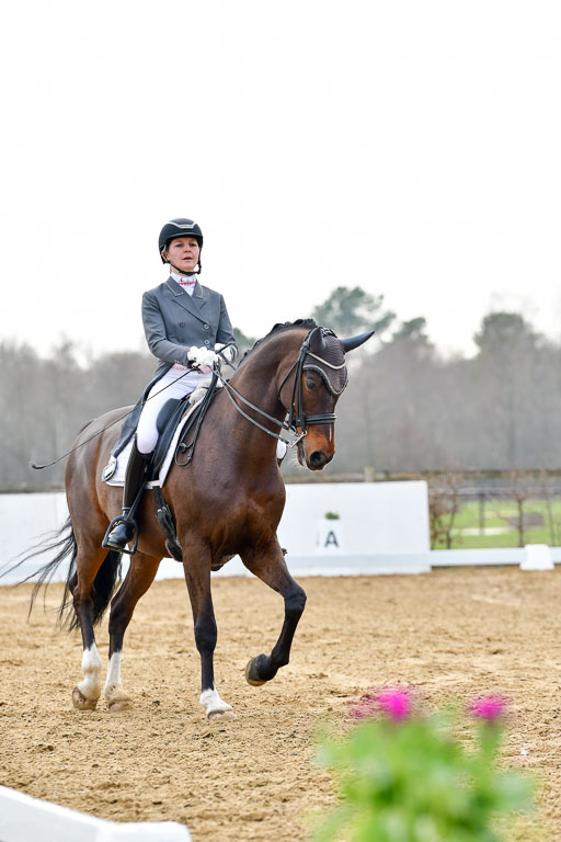 Reitsportzentrum Bremervörde | 10421 Prix St Georges_102 