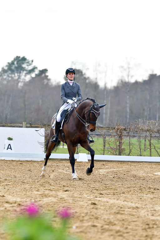 Reitsportzentrum Bremervörde | 10421 Prix St Georges_104 