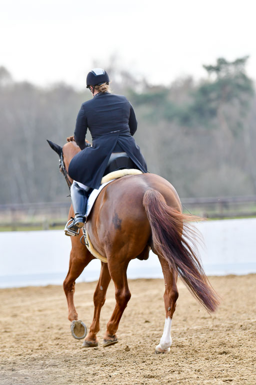 Reitsportzentrum Bremervörde | 10421 Prix St Georges_109 