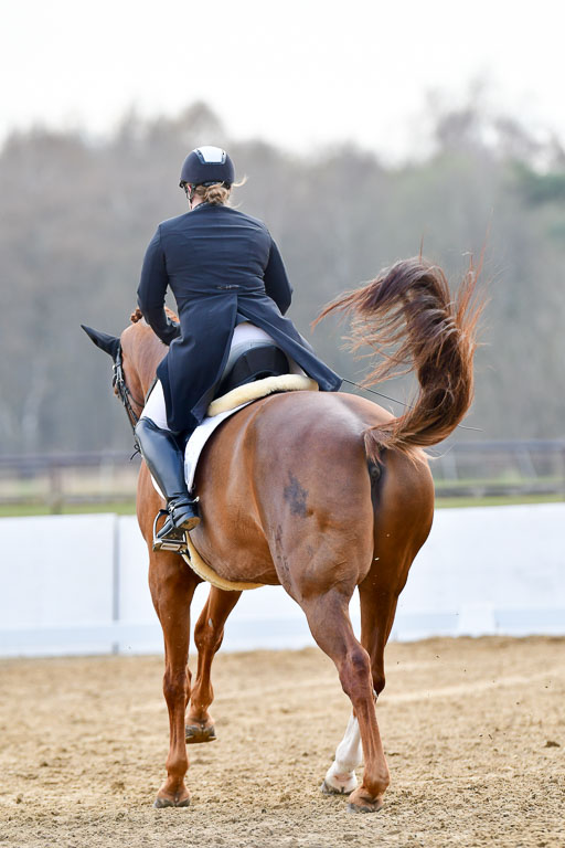 Reitsportzentrum Bremervörde | 10421 Prix St Georges_110 