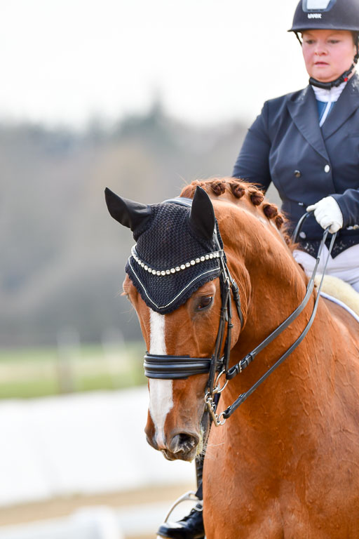 Reitsportzentrum Bremervörde | 10421 Prix St Georges_113 