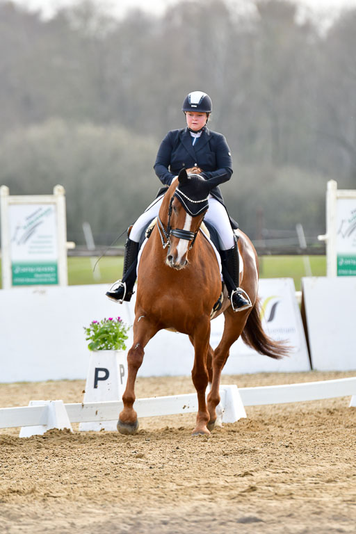 Reitsportzentrum Bremervörde | 10421 Prix St Georges_114 