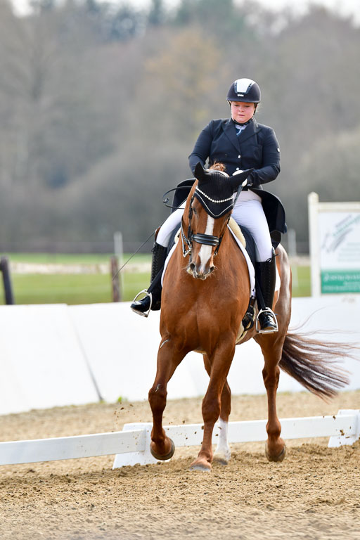 Reitsportzentrum Bremervörde | 10421 Prix St Georges_115 