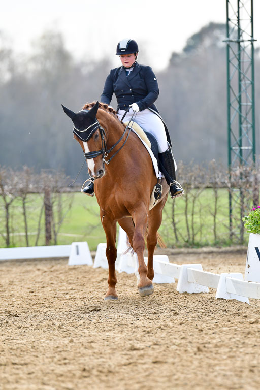 Reitsportzentrum Bremervörde | 10421 Prix St Georges_116 