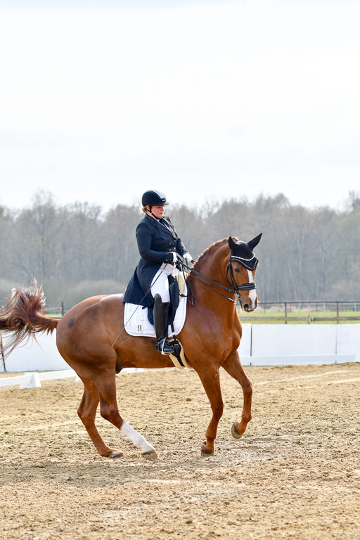 Reitsportzentrum Bremervörde | 10421 Prix St Georges_119 