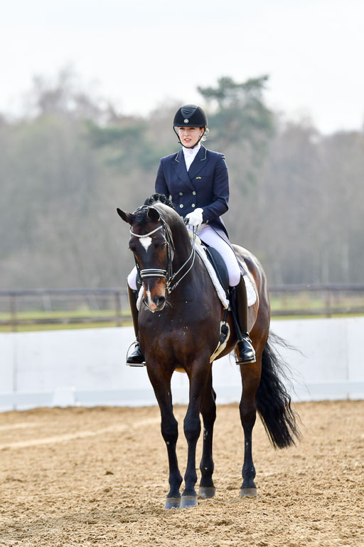 Reitsportzentrum Bremervörde | 10421 Prix St Georges_120 