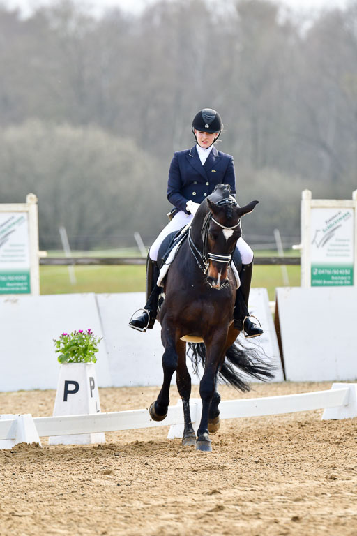 Prix St Georges