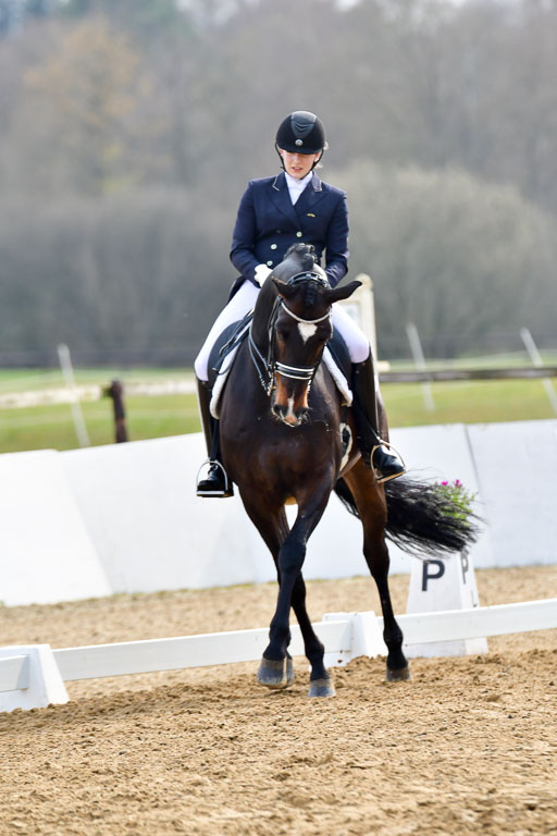 Reitsportzentrum Bremervörde | 10421 Prix St Georges_123 