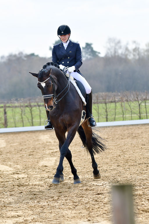 Reitsportzentrum Bremervörde | 10421 Prix St Georges_125 