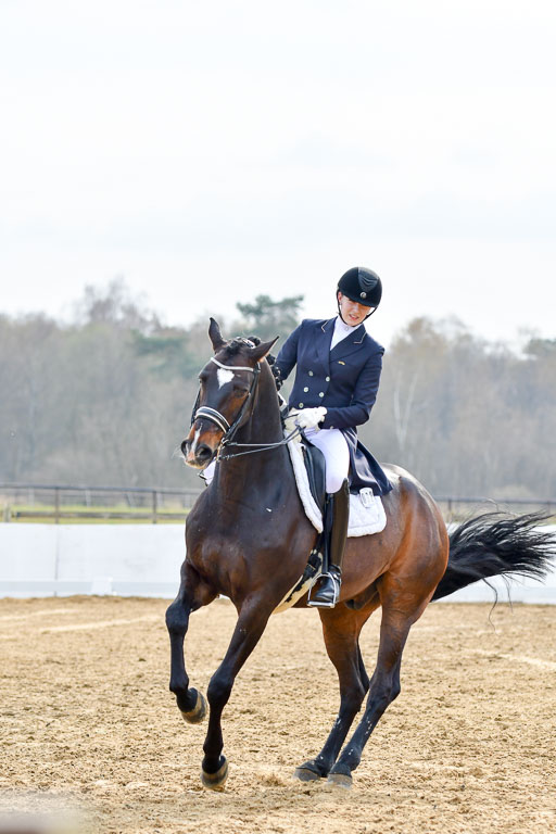 Reitsportzentrum Bremervörde | 10421 Prix St Georges_131 