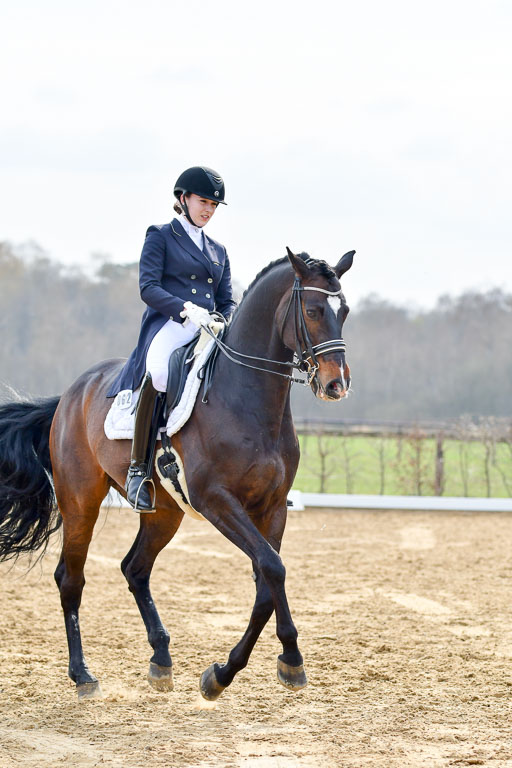 Reitsportzentrum Bremervörde | 10421 Prix St Georges_132 