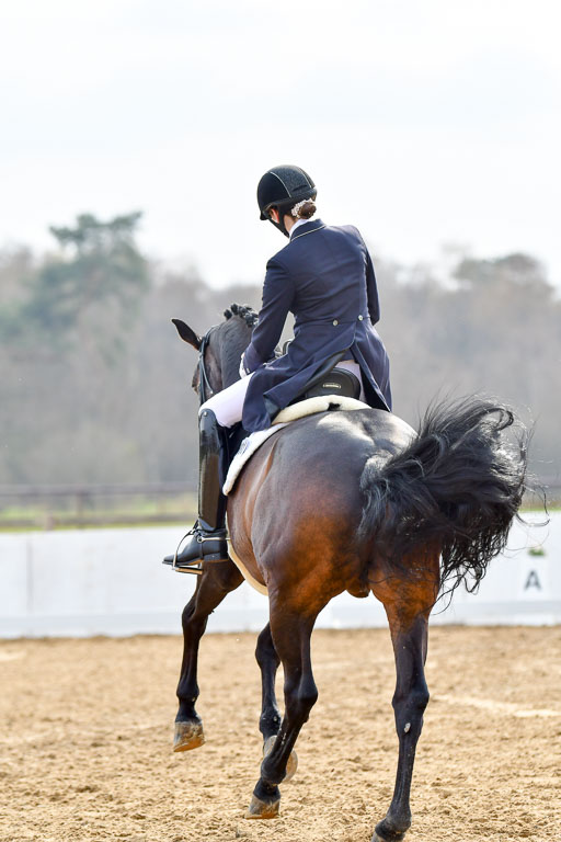 Reitsportzentrum Bremervörde | 10421 Prix St Georges_135 