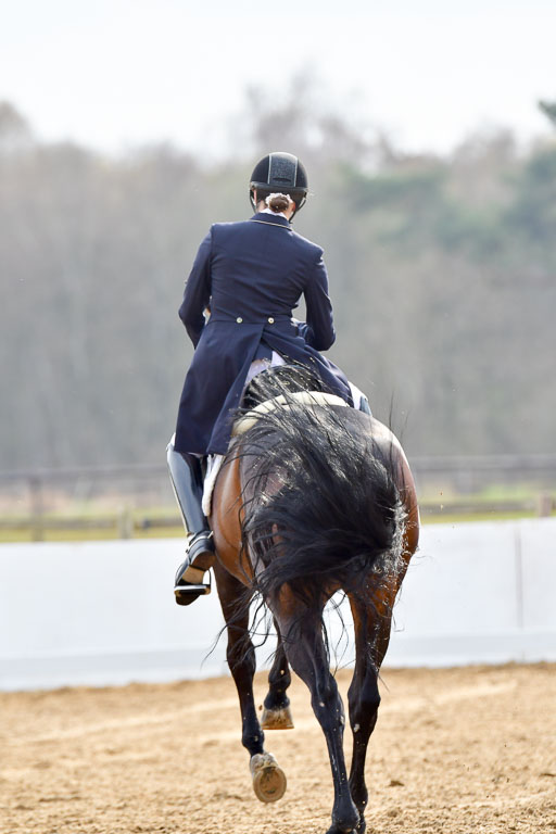 Reitsportzentrum Bremervörde | 10421 Prix St Georges_136 