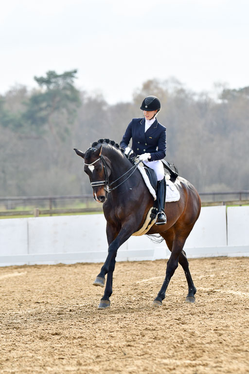 Reitsportzentrum Bremervörde | 10421 Prix St Georges_137 