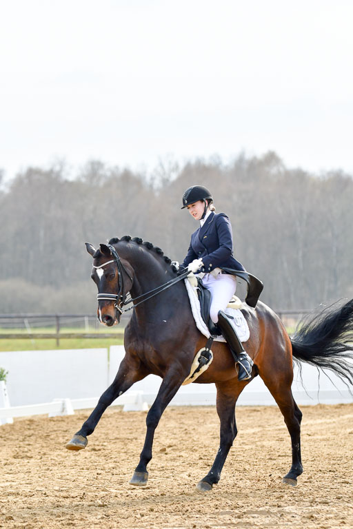 Reitsportzentrum Bremervörde | 10421 Prix St Georges_139 