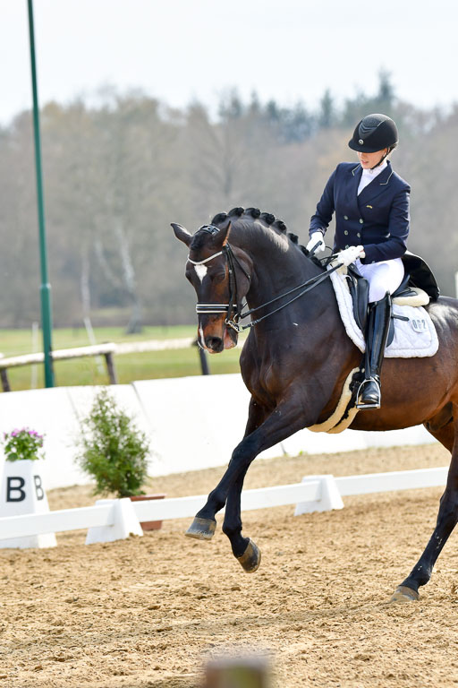 Reitsportzentrum Bremervörde | 10421 Prix St Georges_140 