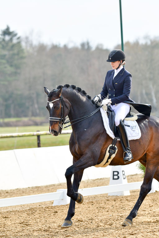 Reitsportzentrum Bremervörde | 10421 Prix St Georges_141 