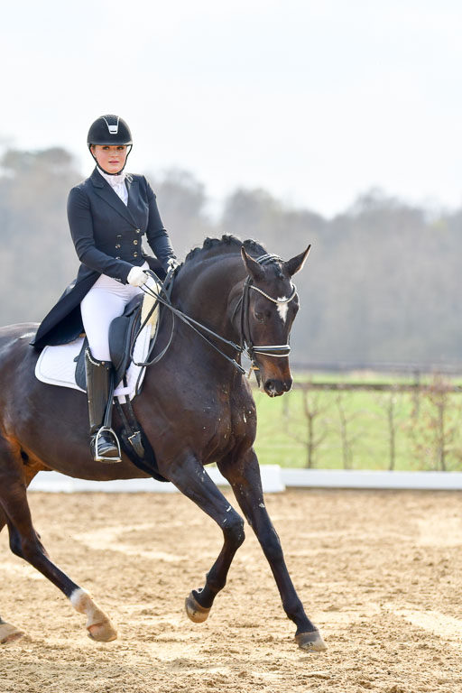 Reitsportzentrum Bremervörde | 10421 Prix St Georges_144 