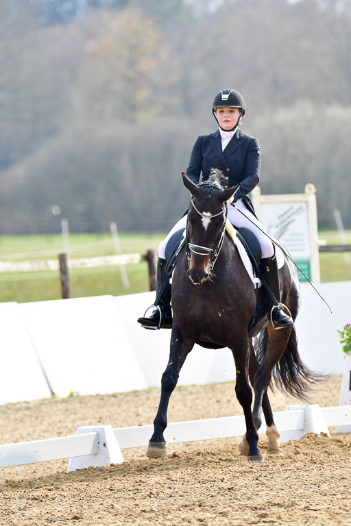 Reitsportzentrum Bremervörde | 10421 Prix St Georges_148 