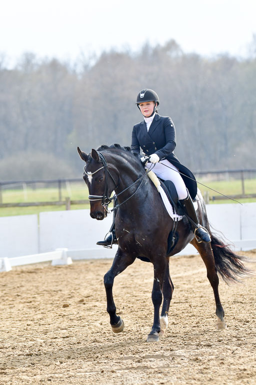 Reitsportzentrum Bremervörde | 10421 Prix St Georges_153 