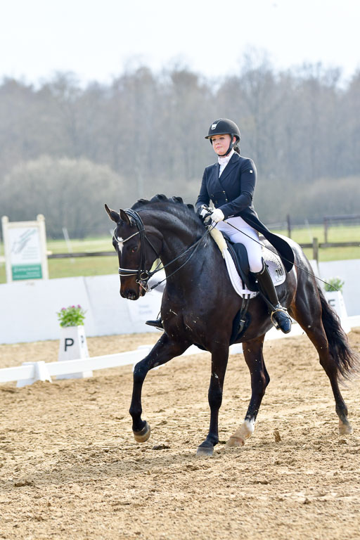 Reitsportzentrum Bremervörde | 10421 Prix St Georges_154 