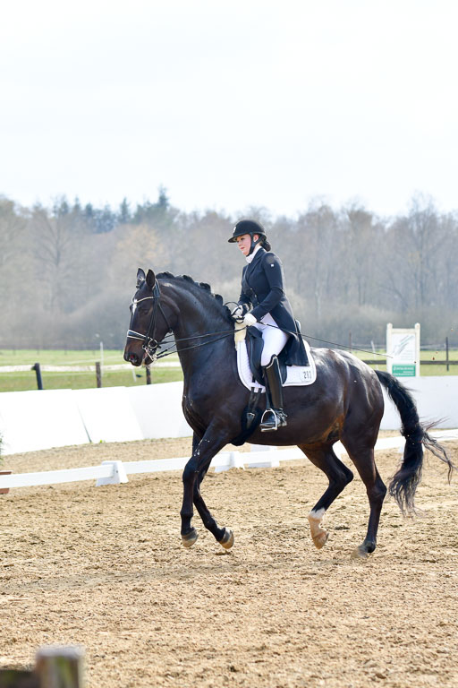 Reitsportzentrum Bremervörde | 10421 Prix St Georges_155 