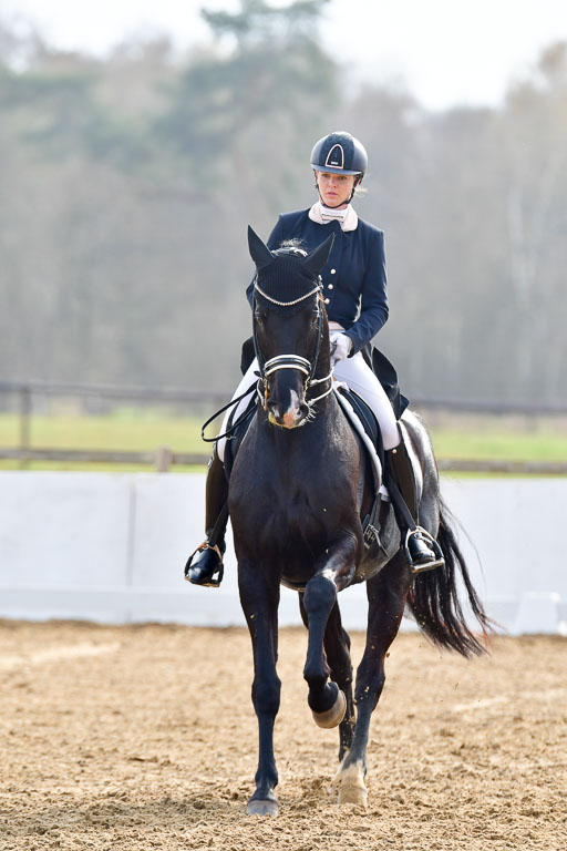 Prix St Georges