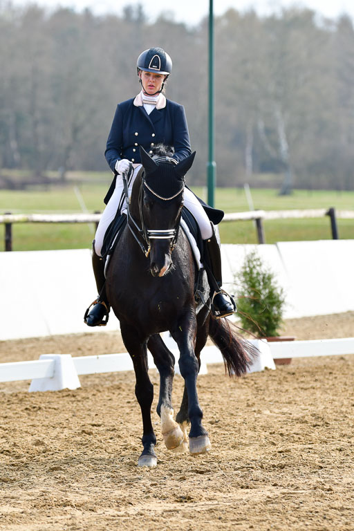 Reitsportzentrum Bremervörde | 10421 Prix St Georges_161 