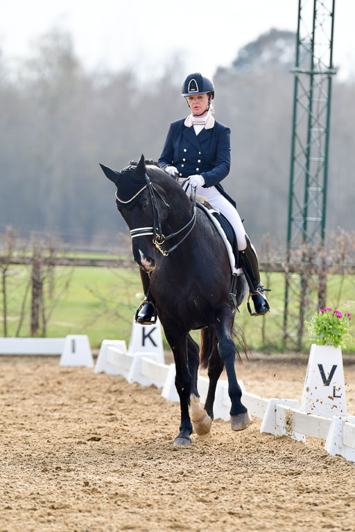 Reitsportzentrum Bremervörde | 10421 Prix St Georges_162 