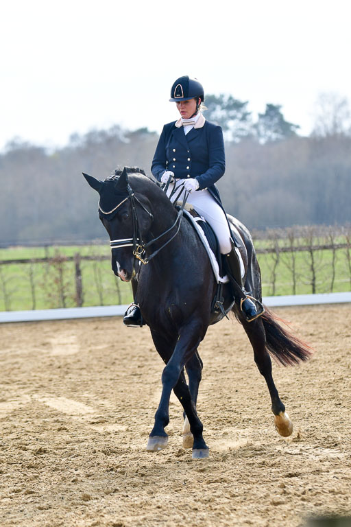 Reitsportzentrum Bremervörde | 10421 Prix St Georges_163 