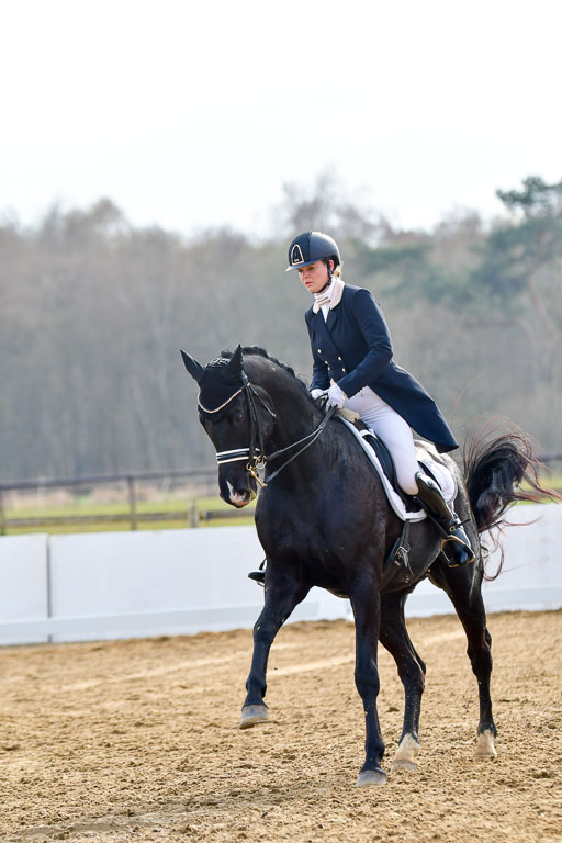 Reitsportzentrum Bremervörde | 10421 Prix St Georges_166 