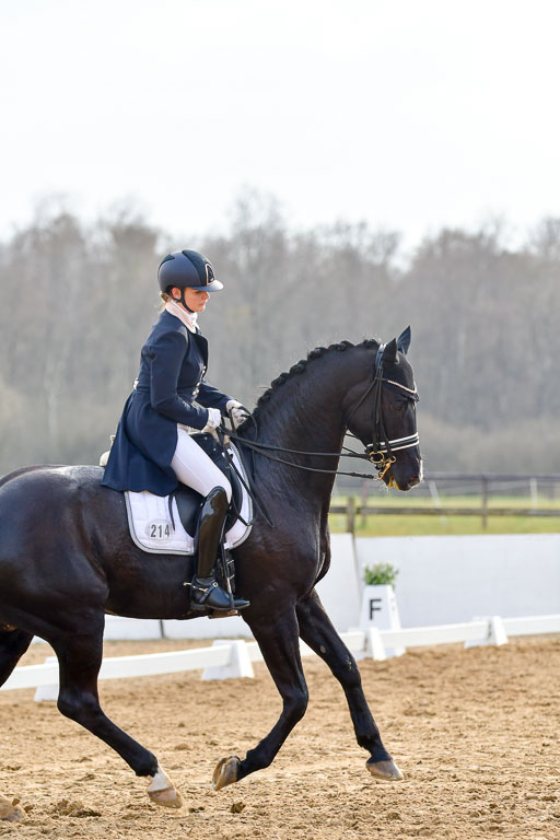 Reitsportzentrum Bremervörde | 10421 Prix St Georges_169 