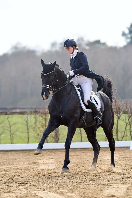 Reitsportzentrum Bremervörde | 10421 Prix St Georges_173 