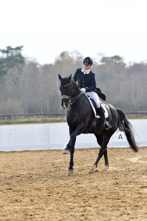 Reitsportzentrum Bremervörde | 10421 Prix St Georges_174 